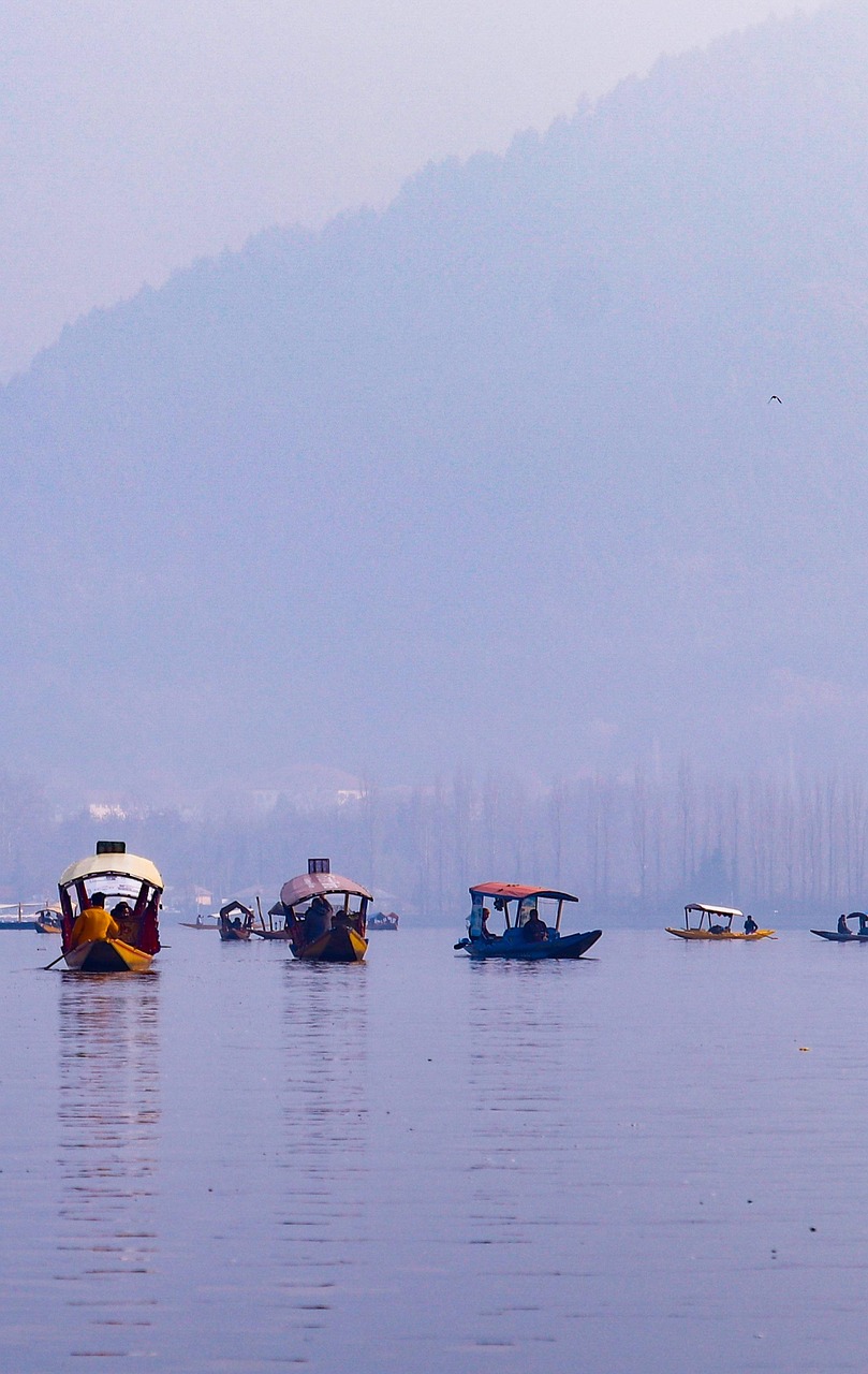 dal, lake, kashmir, india, bharat, dallake, mountains, boat, blue sky, nature, natural, sky, blue, kashmir, kashmir, kashmir, kashmir, kashmir