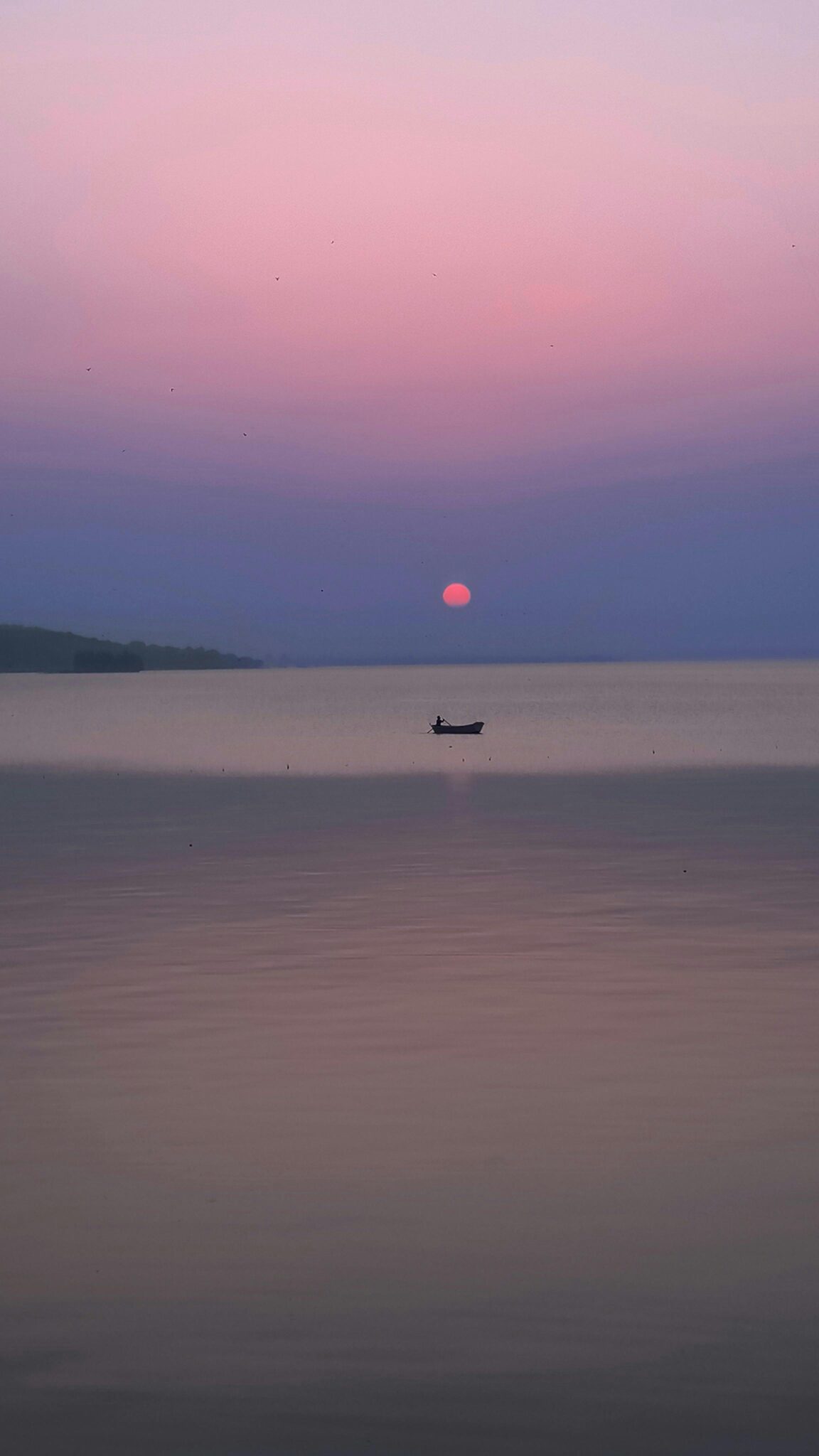 Tranquil pink sunset over a calm lake in Bhopal, India, featuring a solitary boat.